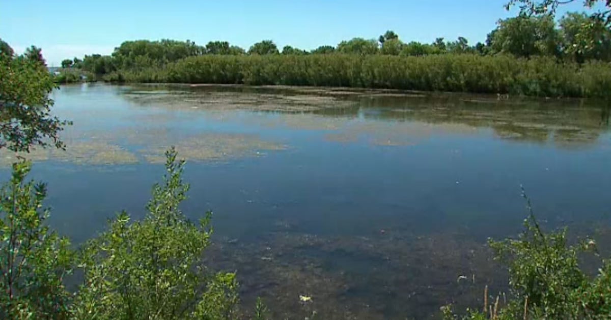 Mimico Creek diesel spill: Crews responding