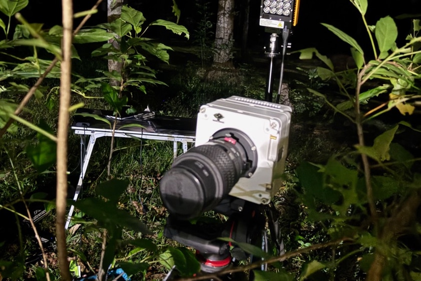 A camera setup in the rainforest at night.