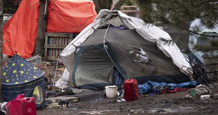 ‘A human being cannot exist nowhere’: Judge blocks eviction of Montreal encampment - Montreal