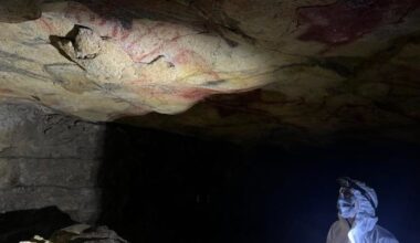 Scientists extract 2,000-year-old human DNA from cave walls, study finds - CTV News