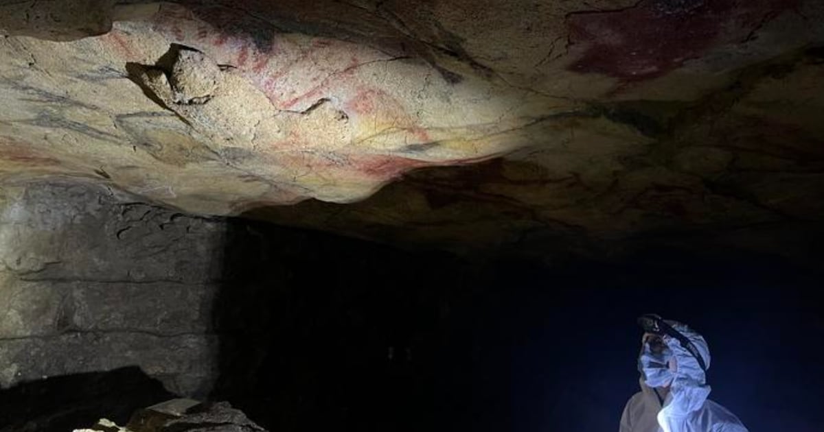 Scientists extract 2,000-year-old human DNA from cave walls, study finds - CTV News