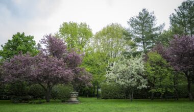 Canada needs to invest in nature as infrastructure