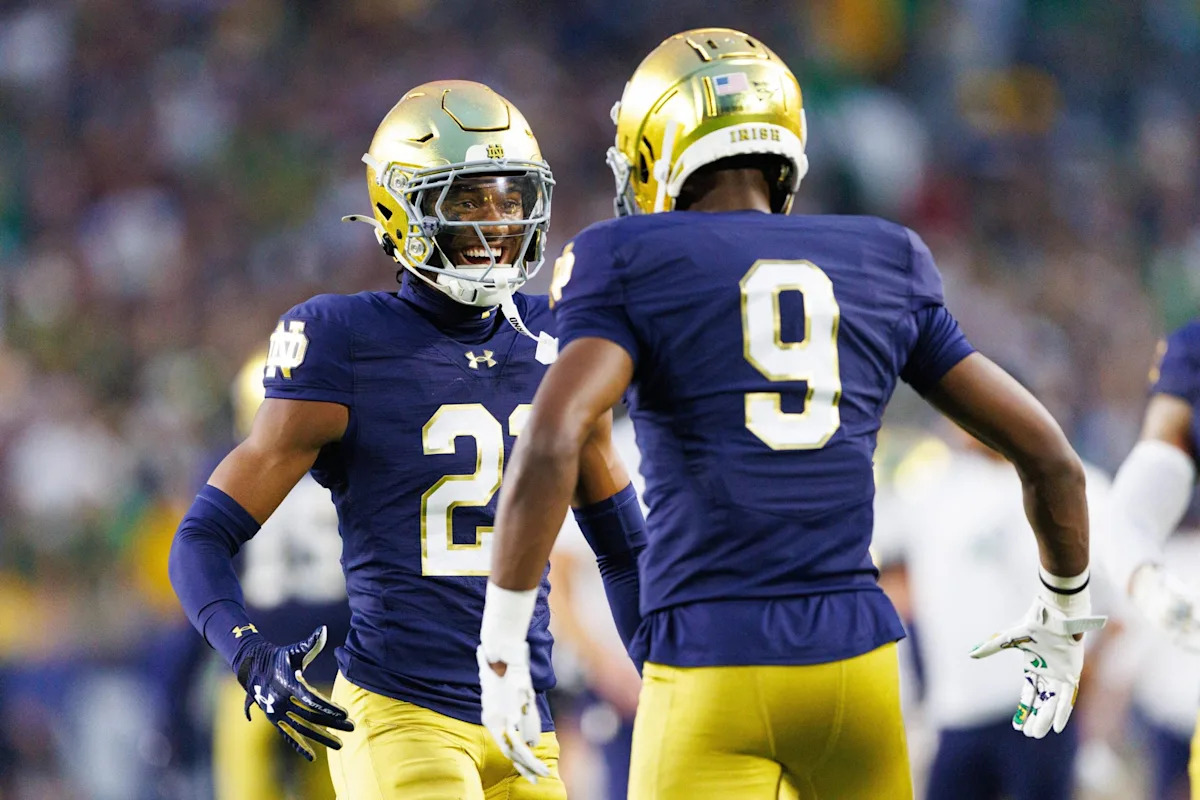 Tae Johnson 2027 NFL Draft: scouting report for Notre Dame, S