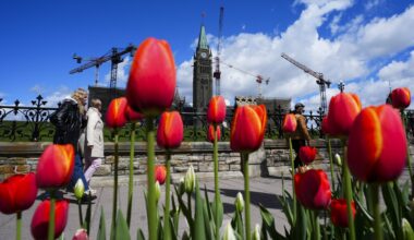 StatCan estimates population edged lower in the first quarter of 2026