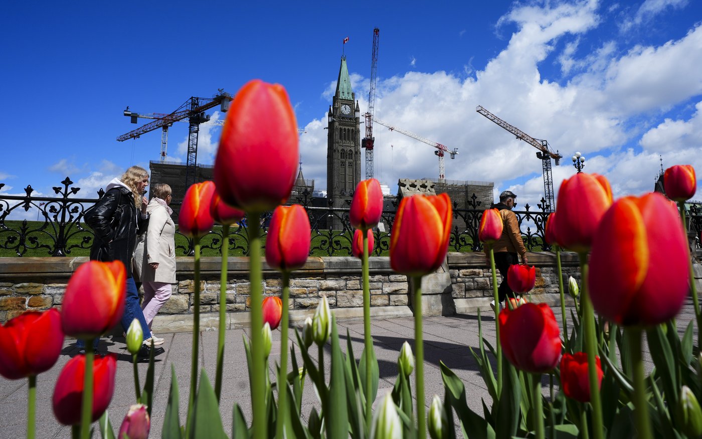 StatCan estimates population edged lower in the first quarter of 2026