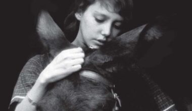 Bleak Week shares dark films in search of empathy