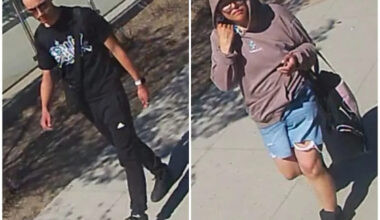 Suspects sought in noon-hour convenience store stabbing: Edmonton police