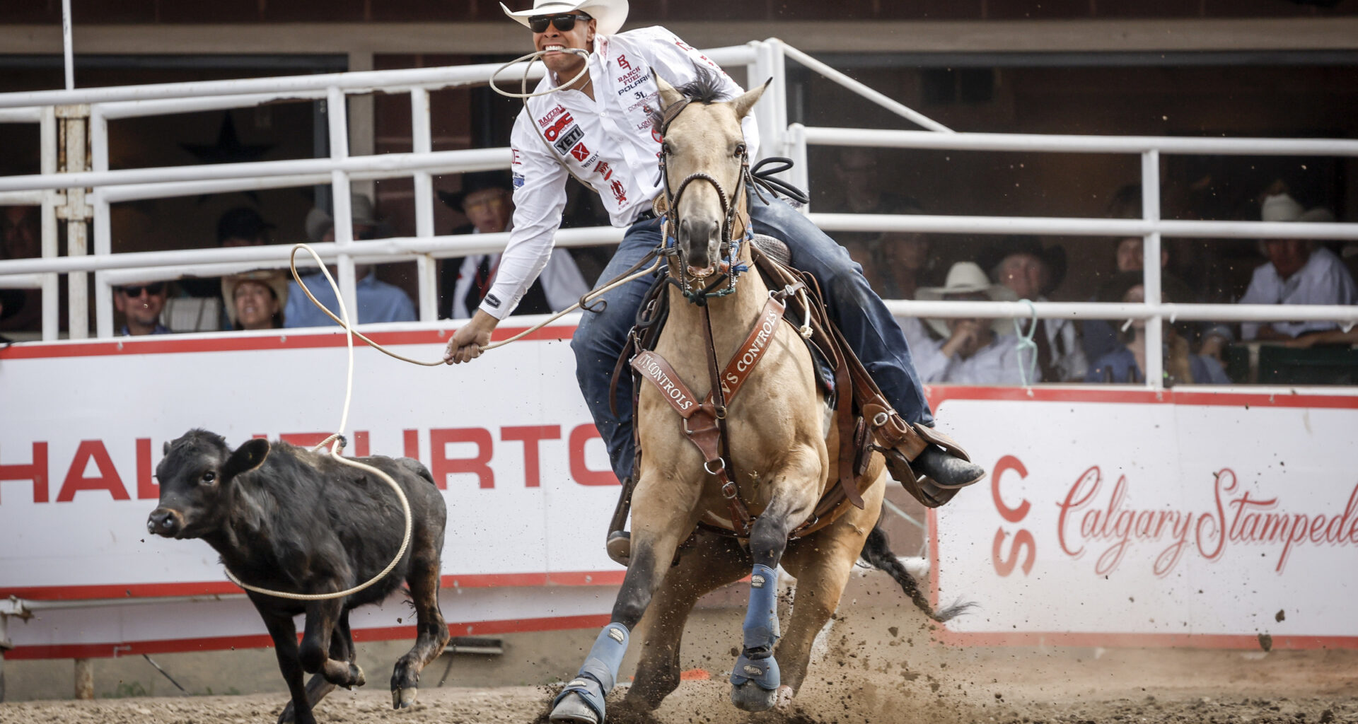 Screwworm ban could see changes at Calgary Stampede Rodeo