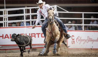 Screwworm ban could see changes at Calgary Stampede Rodeo