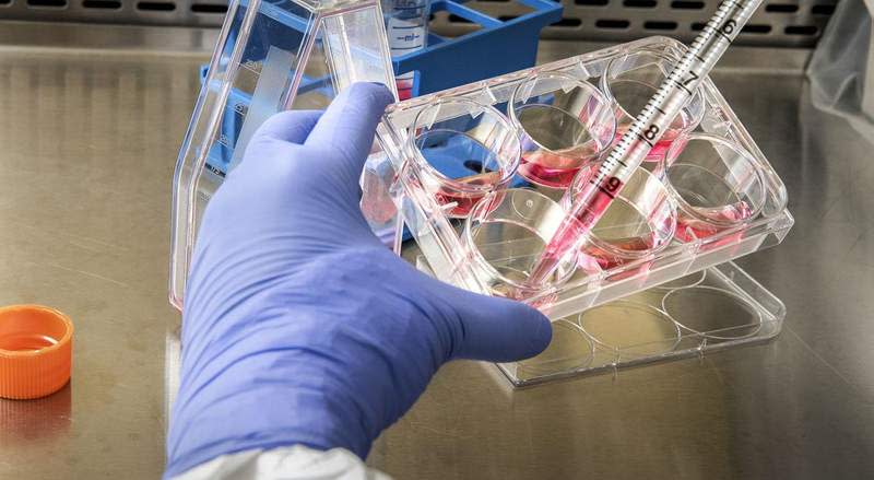 medical research red syringe NEW SIZE ©rawpixel