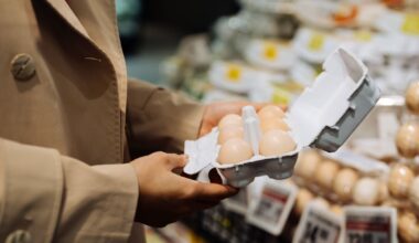 Stop recycling egg boxes immediately and instead use them in 1 area