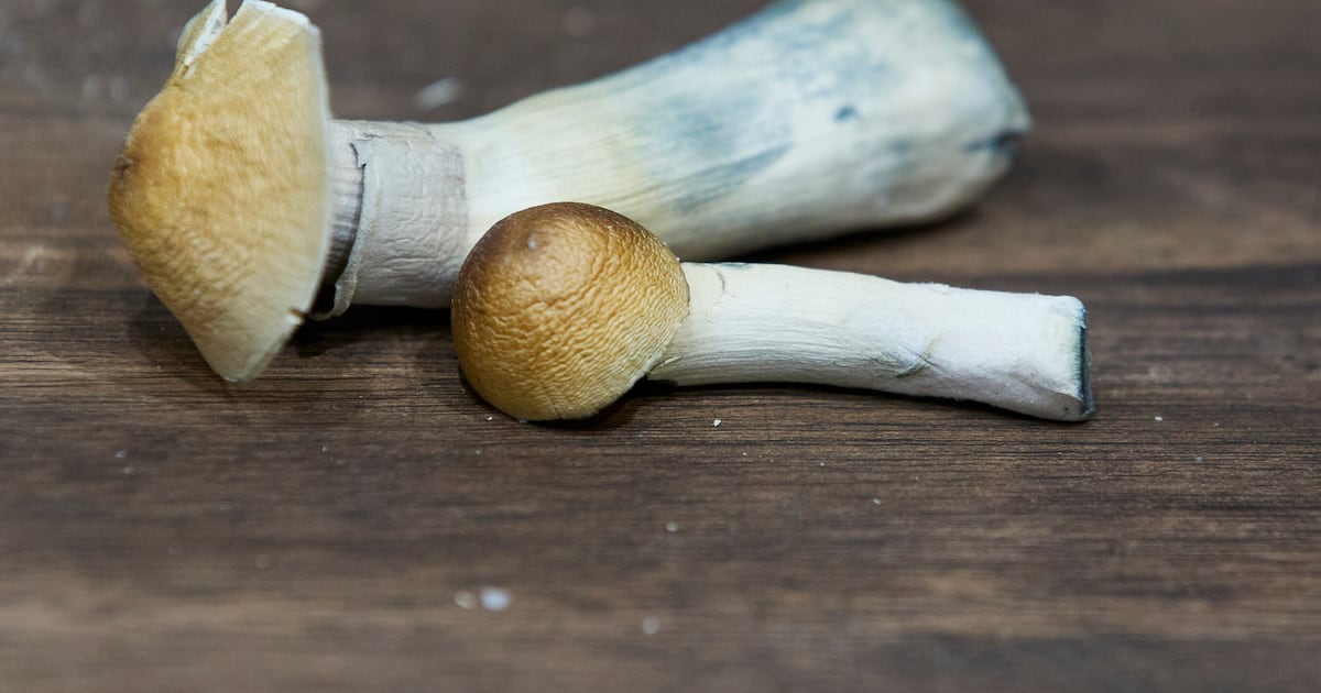 Alzheimer’s patient shows improvement with psilocybin: study
