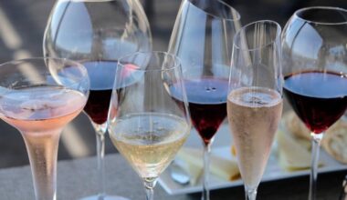 A government-commissioned study found drinking risks. US guidelines didn't feature its findings - Toronto Star