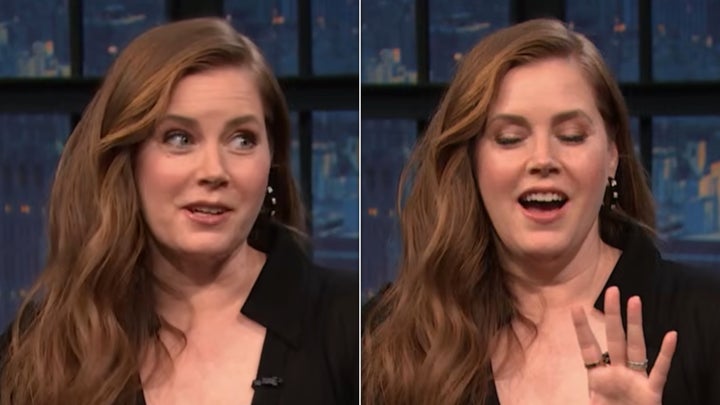 A sampling of Amy Adams’ facial expressions while describing the nixed sketch.
