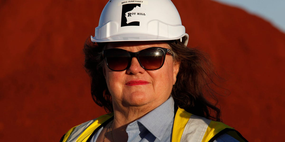 Mining Billionaire Rinehart's SpaceX Bet Hints at Collaboration