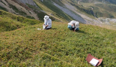 Plant biodiversity in Europe: Study shows why an increase in plant species isn’t good news