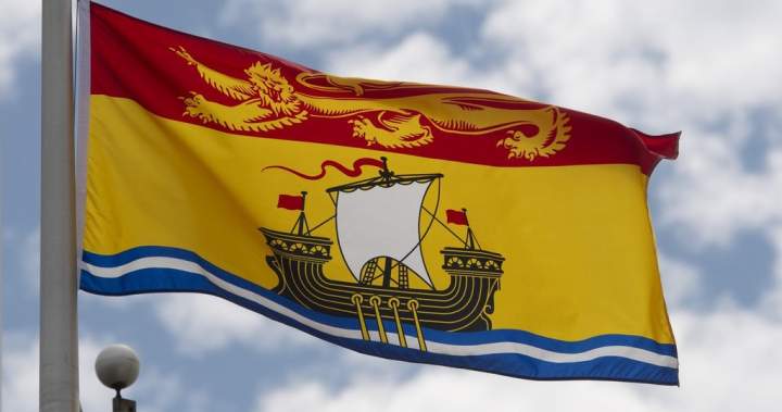 Concerns raised about New Brunswick’s transition to new virtual health-care system - New Brunswick
