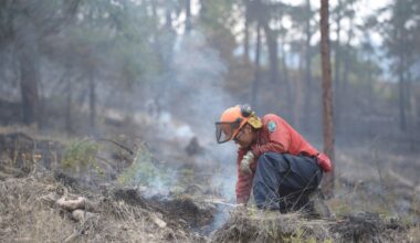 Wildfire prompts hurried evacuations in West Kelowna