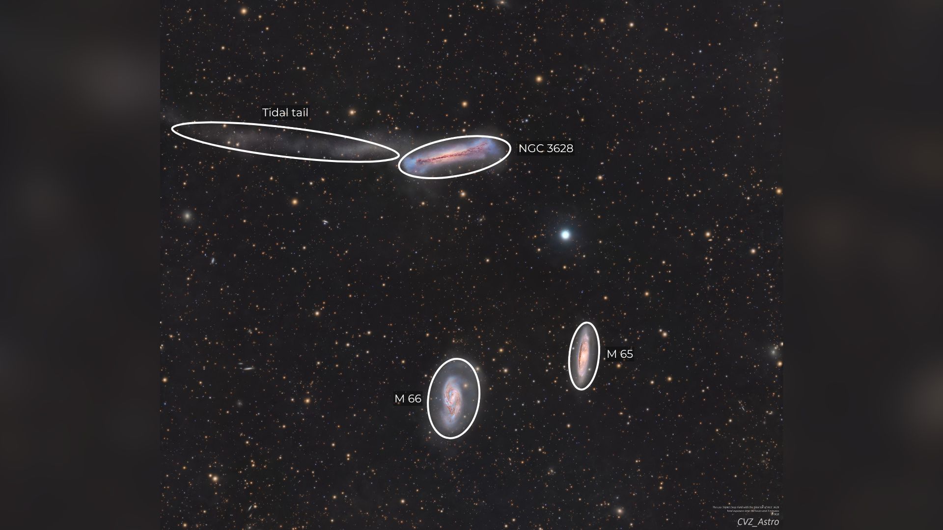 A trio of galaxies are pictured shining in deep space against a starfield, with annotations indicating their names.