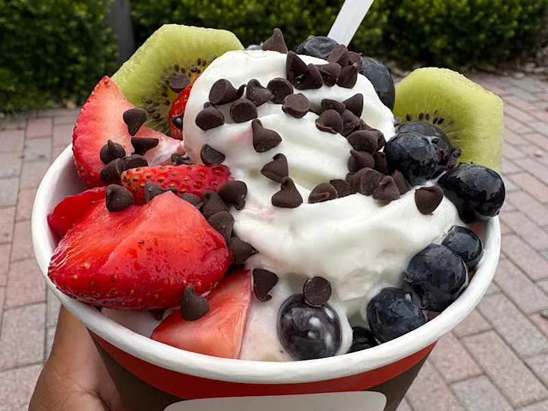someone holding frozen yogurt with fruit and toppings