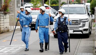 Japanese city captures black bear after multiday hunt