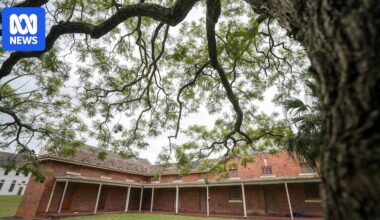 Queensland minister Tim Nicholls 'acknowledges trauma' of Wolston Park survivors but does not apologise