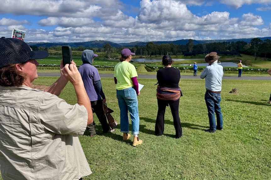 Lots of people standing around looking towards a strawberry field and a tiny drone in the air.