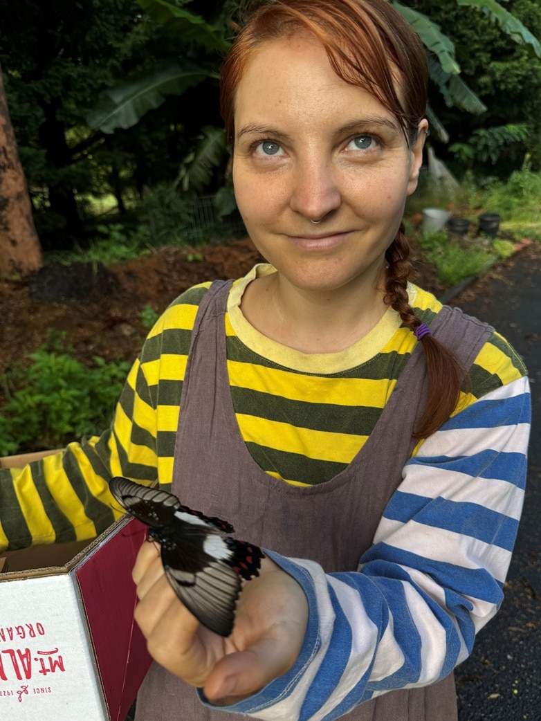 A woman holding a cardboard produce box, with a black and white butterfly resting on her hand.