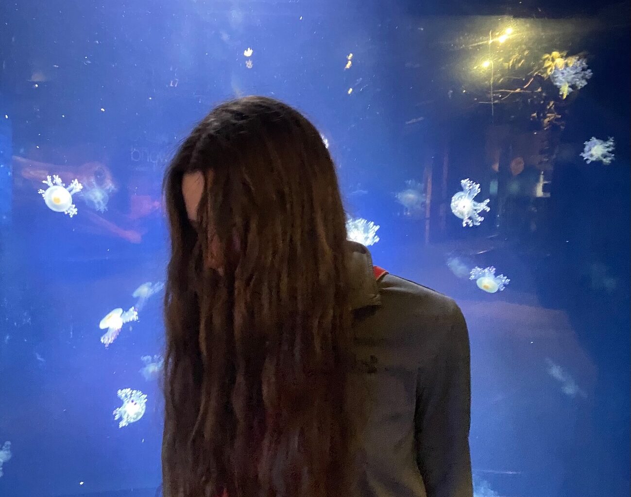Stereogum home