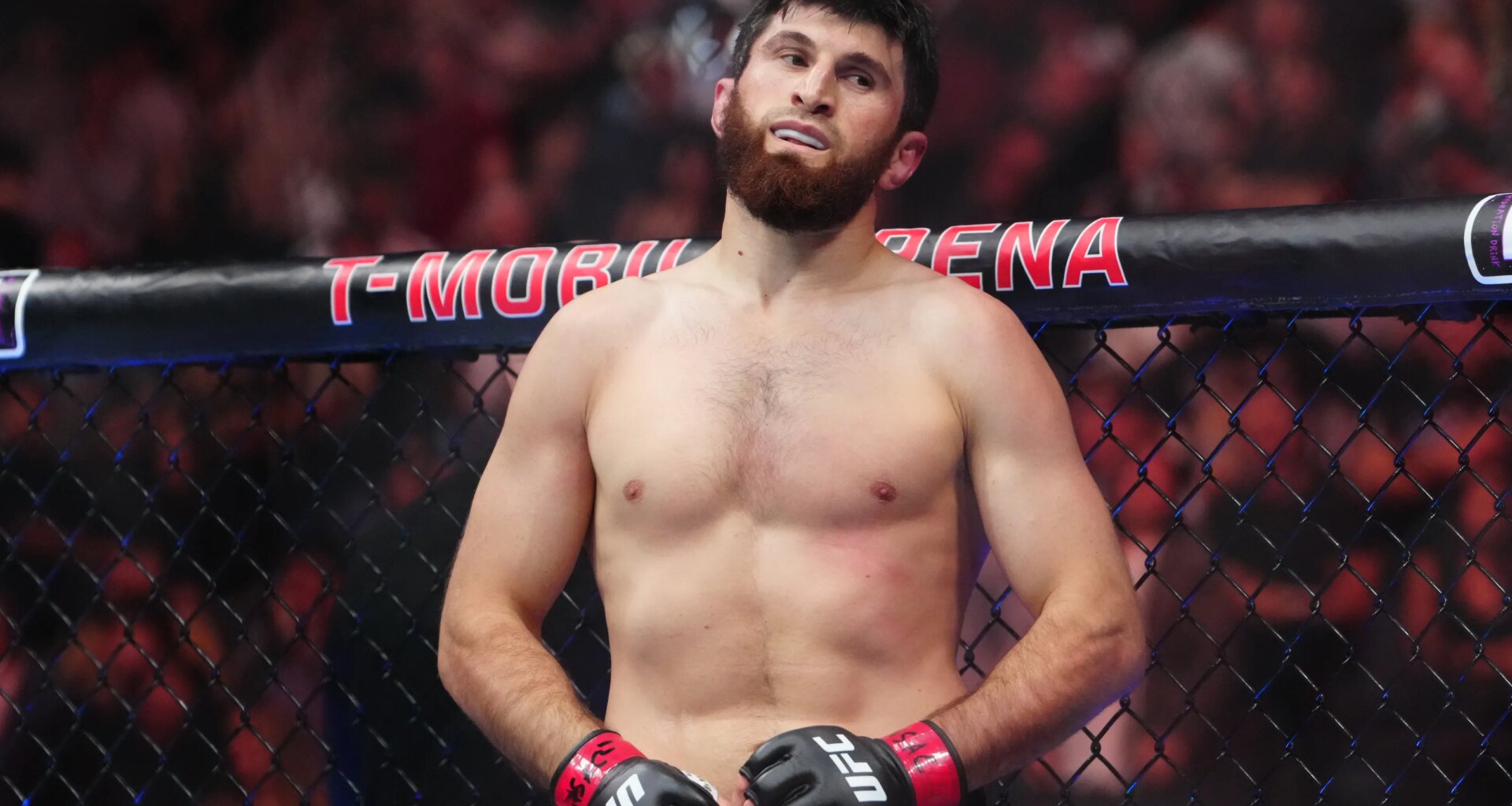 UFC Abu Dhabi: Magomed Ankalaev vs. Khalil Rountree odds, what to know