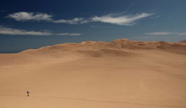 A view of a large brown sandy desert