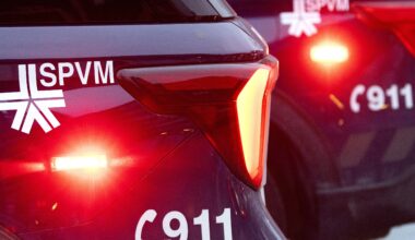 Police car lights