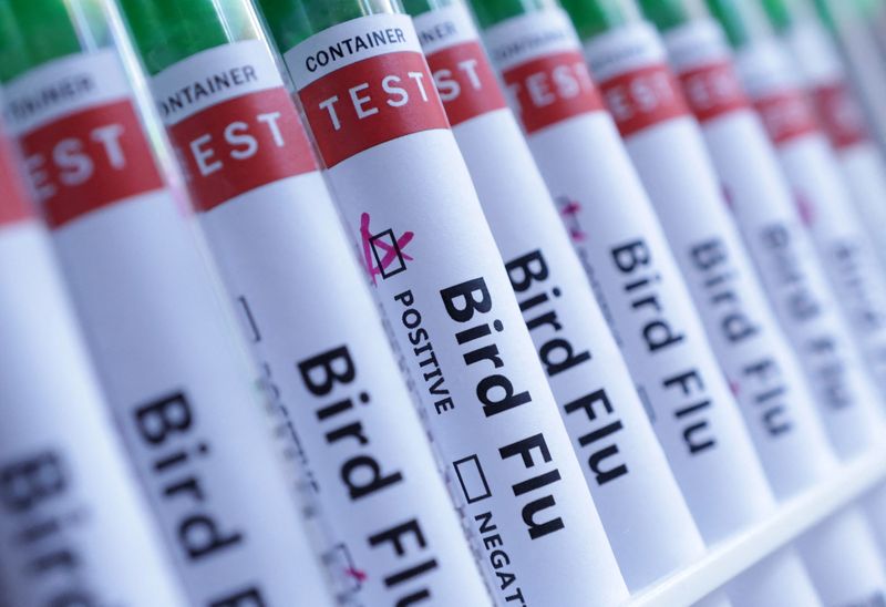 Australia vows to rein in any H5N1 birdflu after confirming first case