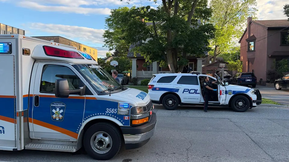 Despite efforts made by emergency responders, the elderly couple succumbed to their injuries, said Peel police.
