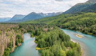 Arctic forests could be hiding a major climate surprise