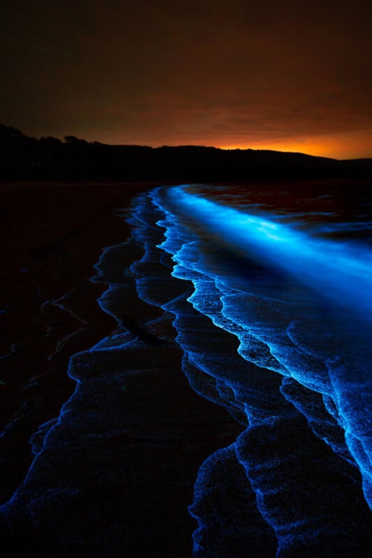 Waves glowing with bright blue bioluminescence wash onto a dark beach at night, with a dim orange glow on the horizon and a silhouetted landscape in the background.