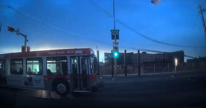 Viral videos show Calgary Transit buses running red lights, stop signs - Calgary