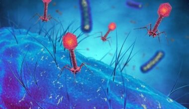 Synthetic biology platform unmasks hidden bacterial targets of bacteriophages