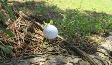 Rules of Golf Review: A tree is in ground under repair, but my ball is next to a root outside the marked area. Do I get relief?