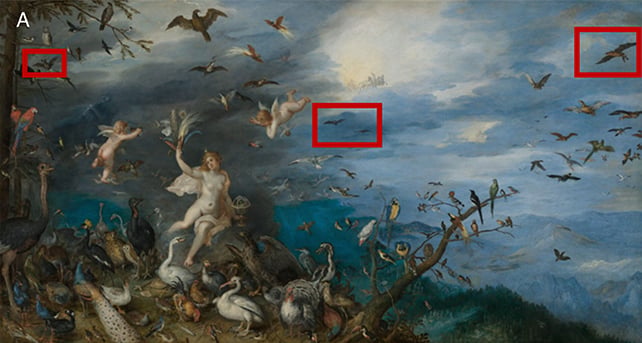 A 17th-Century Painting Has Revealed Surprising Bird Eating Habits From Bats