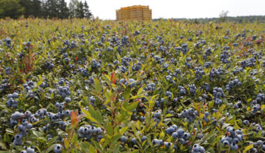 More monetary relief coming to Nova Scotia farmers