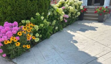 brampton garden flower contest