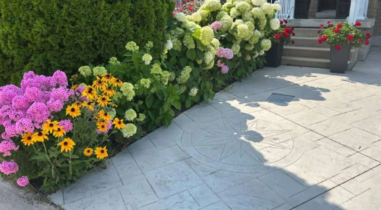 brampton garden flower contest