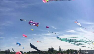 Have high-flying fun at kite festival this weekend in Brampton