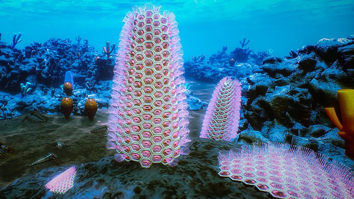 Extraordinary Fossils Solve a 500-Million-Year Evolution Mystery : ScienceAlert