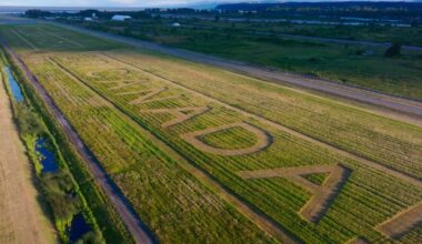 YVR welcomes Team Canada with massive message in grass