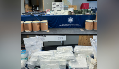 Investigation results in large seizure of drugs, weapons, cash in Lower Mainland