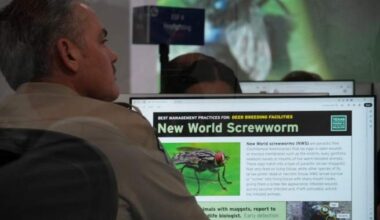 Canada to limit livestock imports from Texas over flesh-eating screwworm