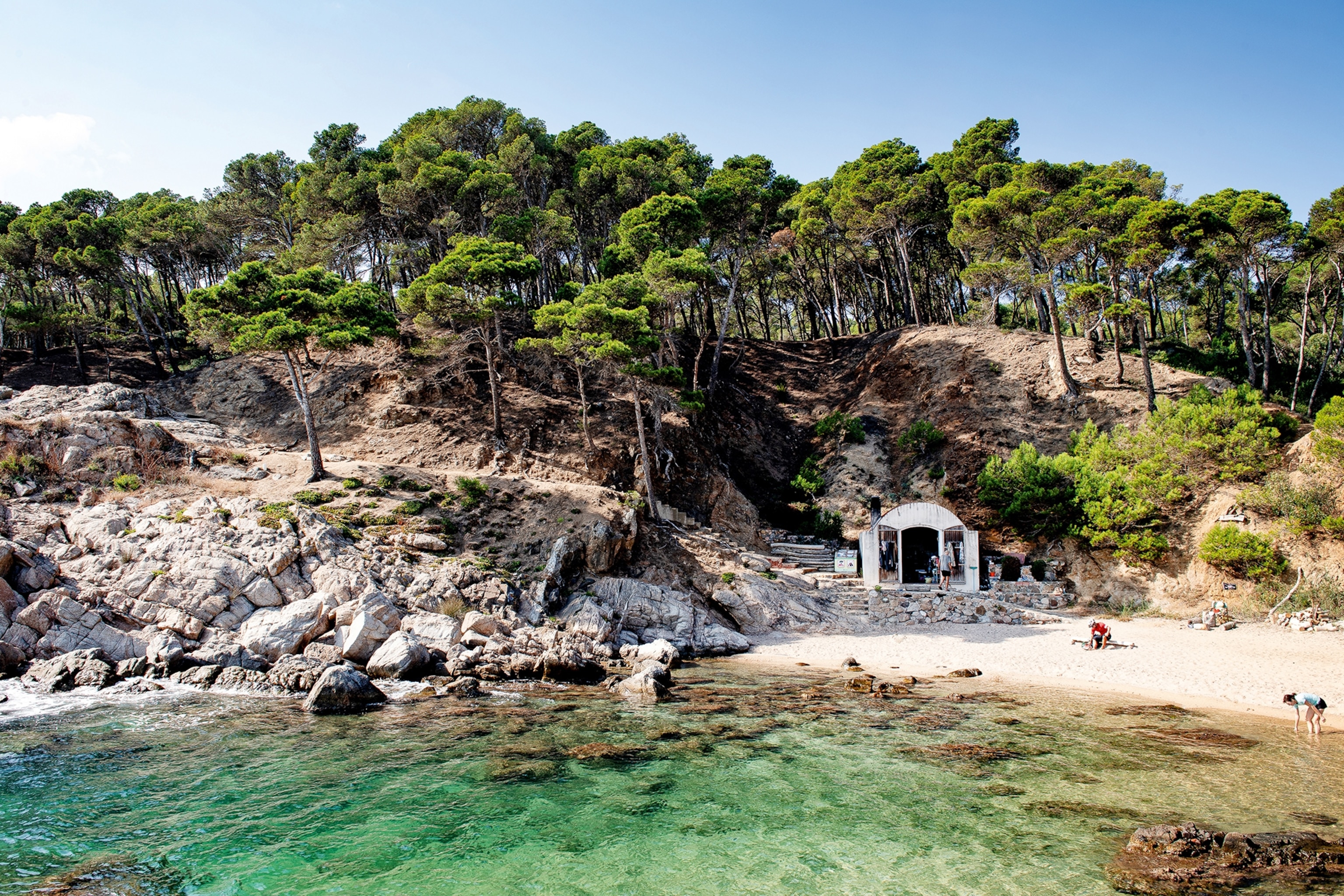 Sandy beach with trees in background.