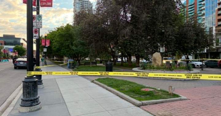 Calgary police investigating suspicious death at Tomkins Park - Calgary